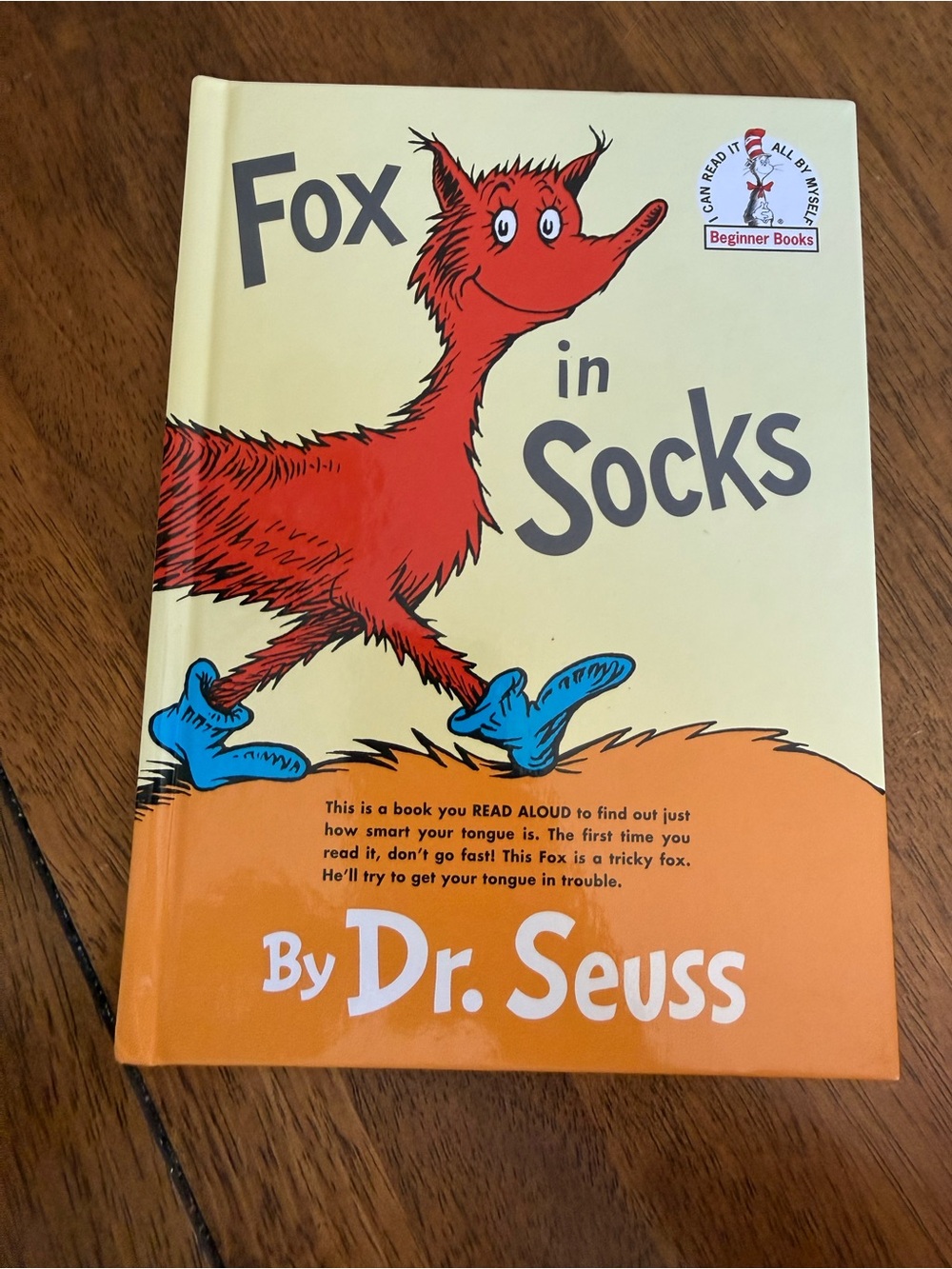 Fox in Socks — Red & Blue Boys' Socks Cover Design